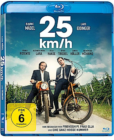 25 km/h