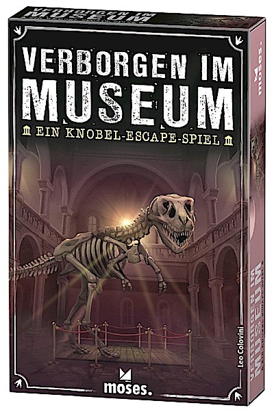 Verborgen im Museum (Ein Knobel-Escape-Spiel)