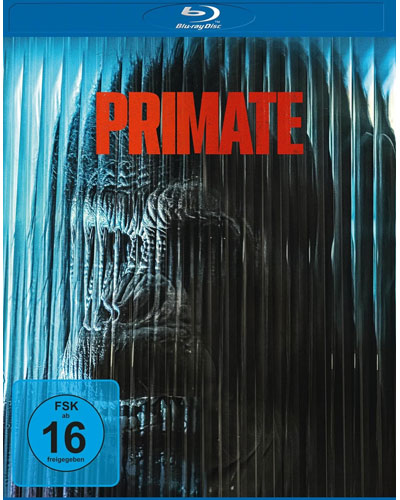 Primate