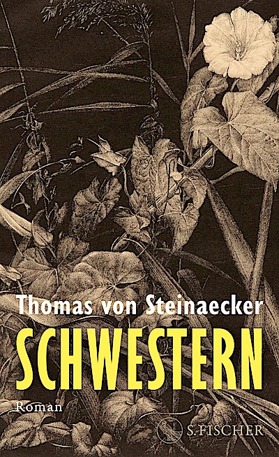 Schwestern