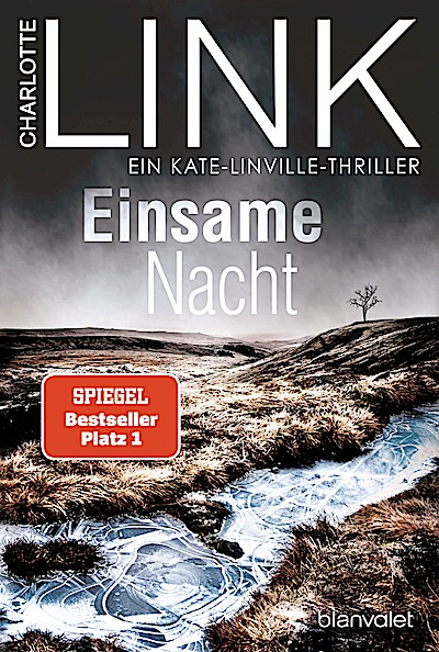 Einsame Nacht