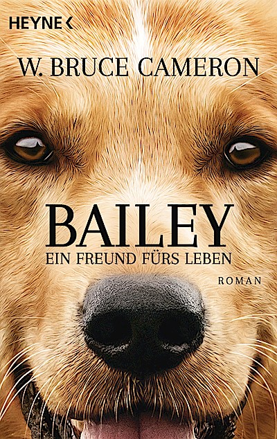 Bailey - Ein Freund fürs Leben