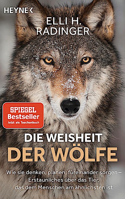 Die Weisheit der Wölfe
