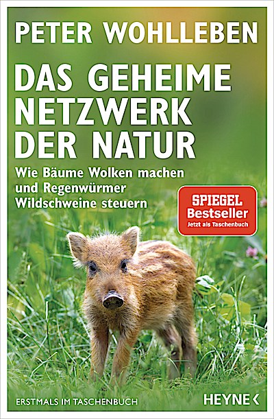 Das geheime Netzwerk der Natur