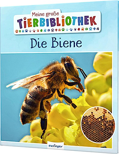 Meine große Tierbibliothek: Die Biene