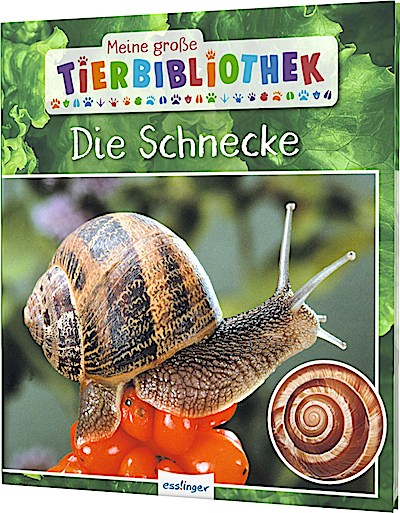 Meine große Tierbibliothek: Die Schnecke