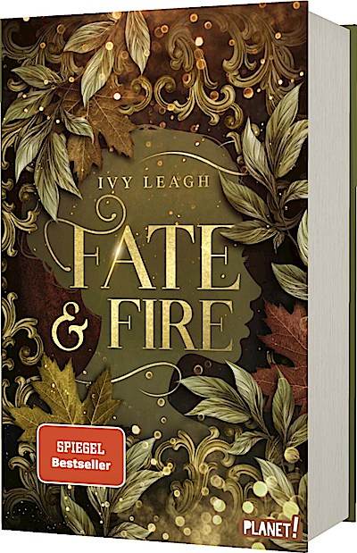 Die Nordlicht-Saga 1: Fate and Fire