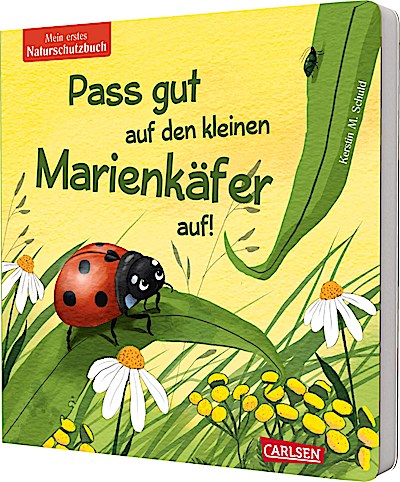Pass gut auf den kleinen Marienkäfer auf
