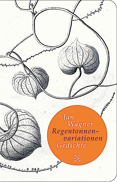 Regentonnenvariationen