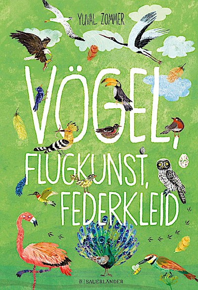 Vögel, Flugkunst, Federkleid