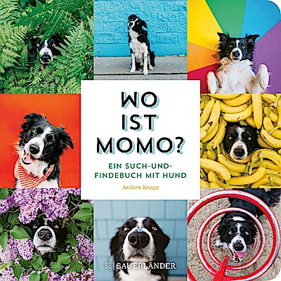 Wo ist Momo? (Ein Such- und Findebuch mit Hund)
