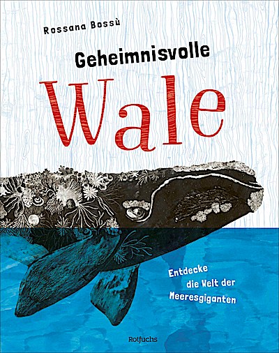 Geheimnisvolle Wale – Entdecke die Welt der Me...