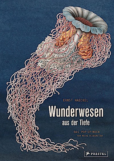 Wunderwesen aus der Tiefe (Ein Pop-Up-Buch)