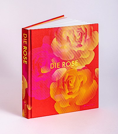 Die Rose