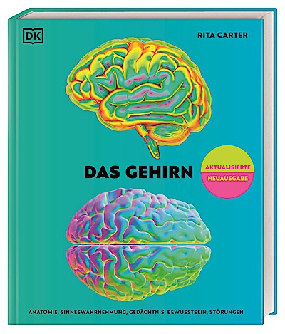 Das Gehirn