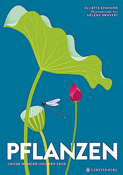 Pflanzen