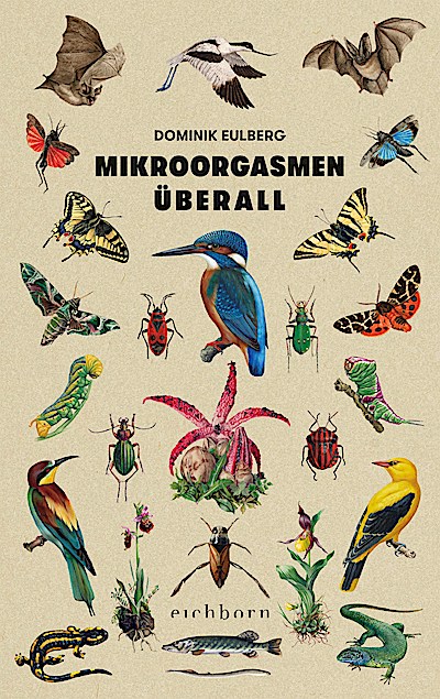 Mikroorgasmen überall