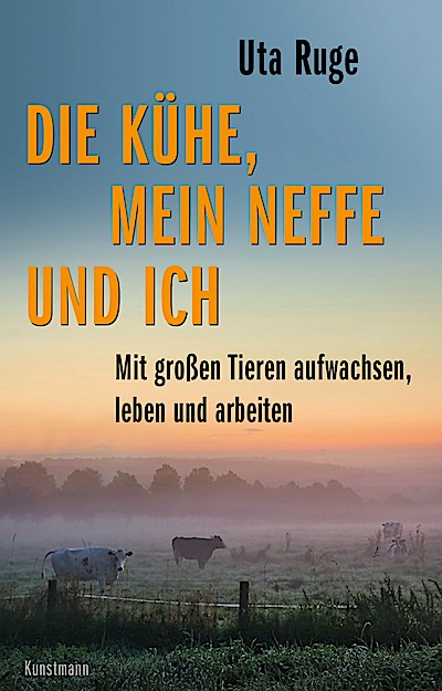 Die Kühe, mein Neffe und ich