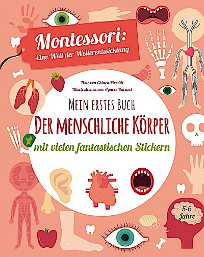 Mein erstes Buch: menschlicher Körper